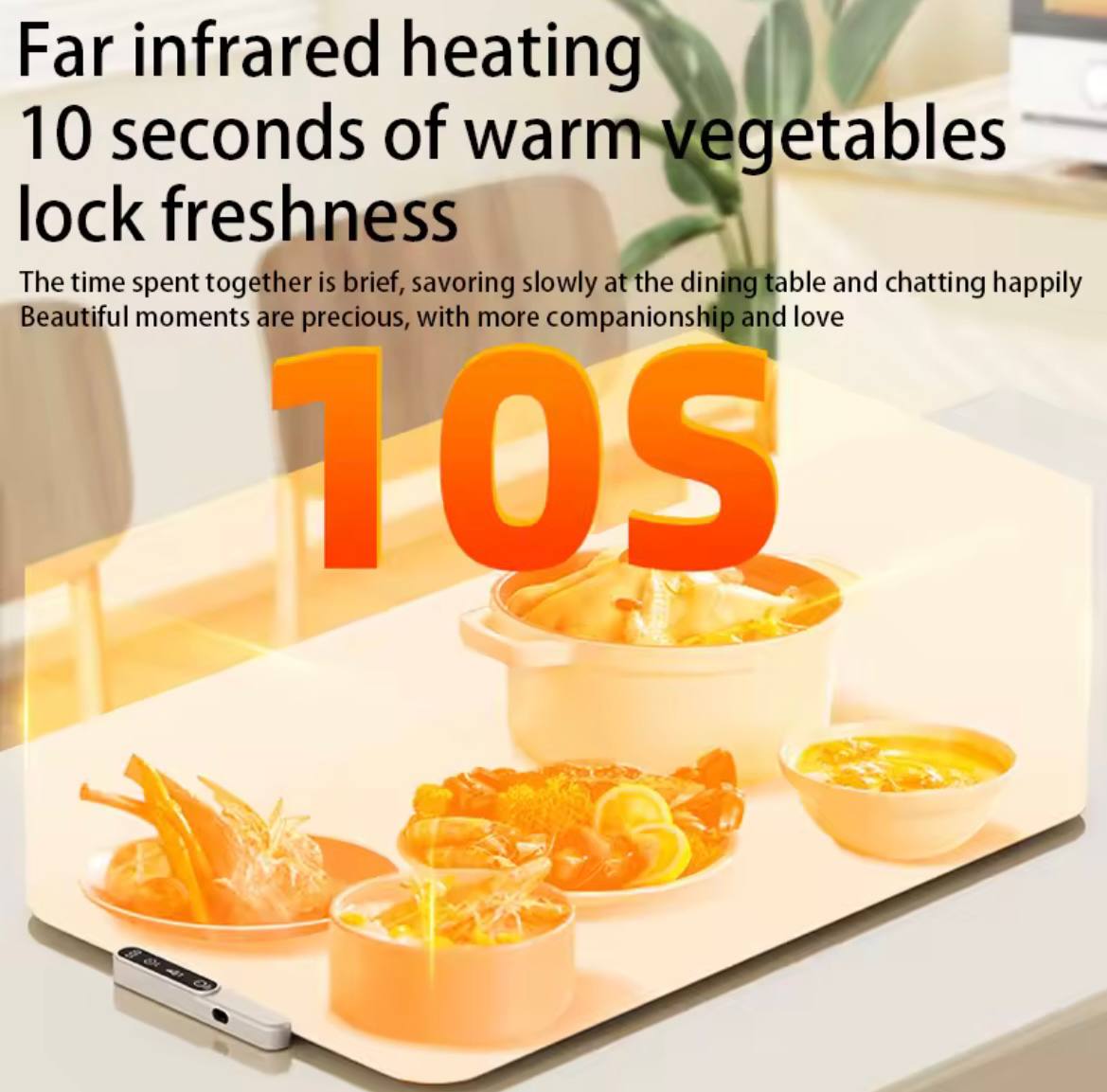 Warming Food Mat